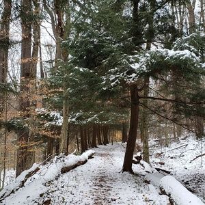 Meet your Posher, Lynne